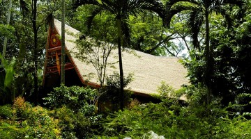 centrothatch-2