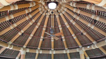 centrothatch-3